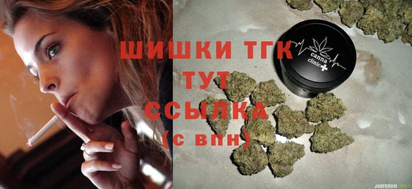 хмурый Михайловск