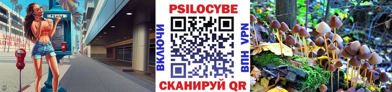 Псилоцибиновые грибы GOLDEN TEACHER  Старая Купавна 