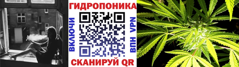 как найти наркотики  Старая Купавна  Шишки марихуана Amnesia 